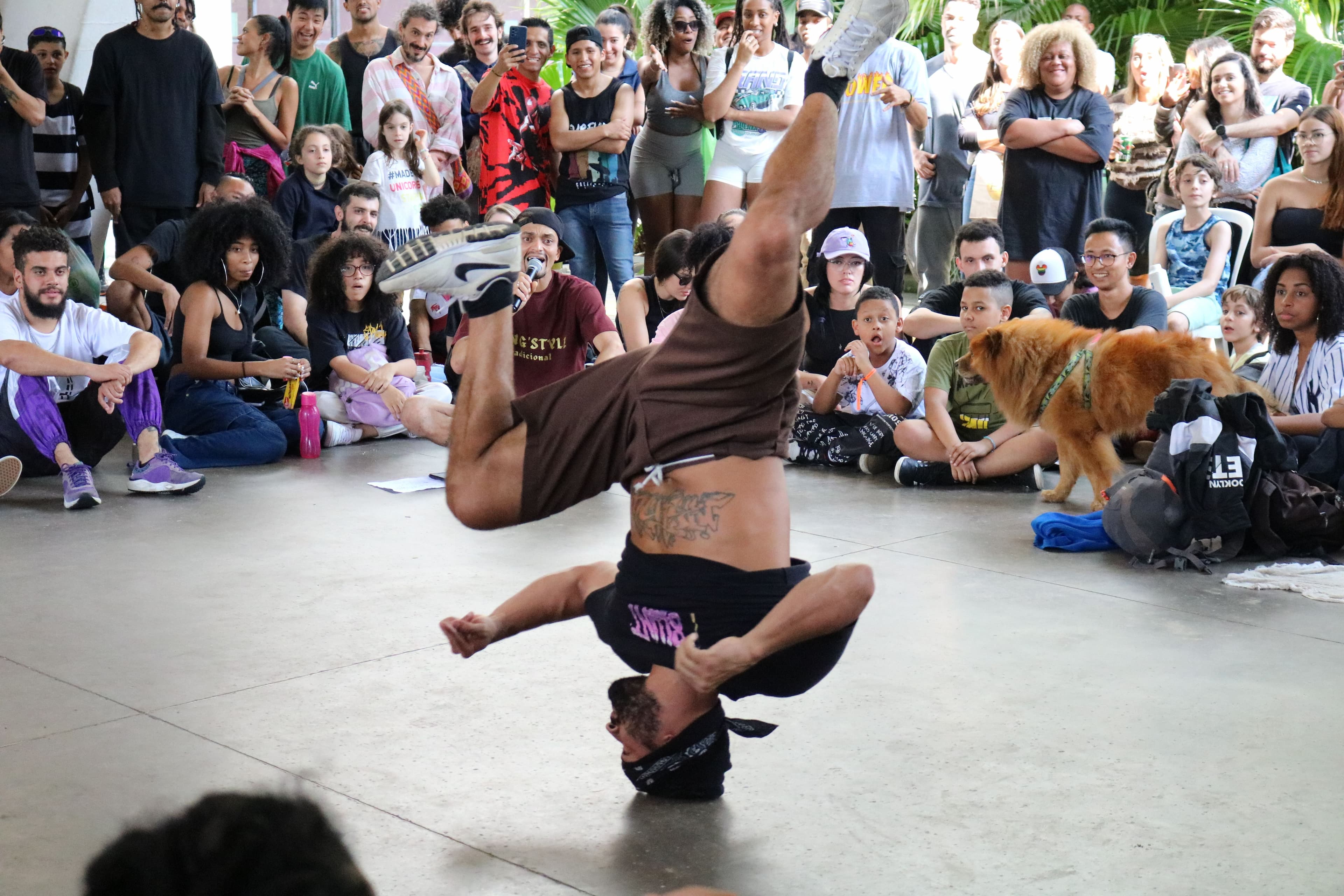 Festival Breaking Ibira e Oficina de Colagem com Elementos Botânicos são destaques da agenda cultural do Parque Ibirapuera   